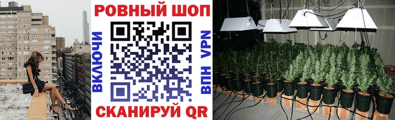Наркошоп купить Alpha-PVP  МЕФ  АМФ  Марихуана  Кадников