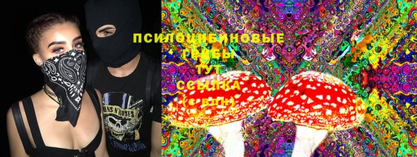 первитин Гусь-Хрустальный