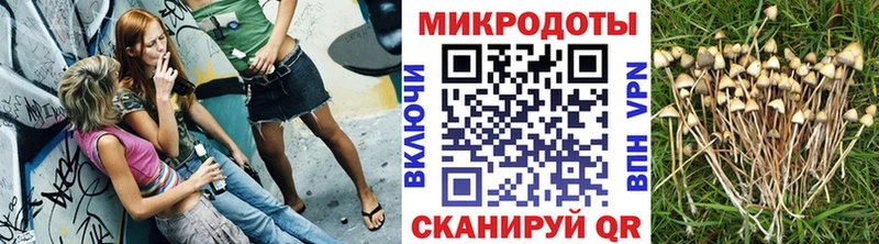 Купить  Кадников  Псилоцибиновые грибы мицелий 